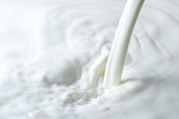 乳製品（チーズ・牛乳・ヨーグルトなど）